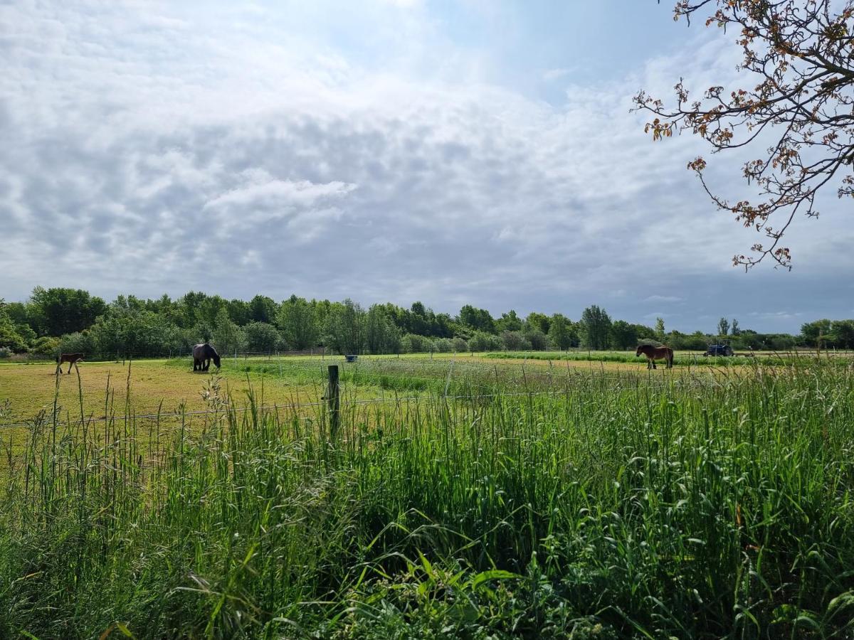Vakantiehuis Dishoek Di04 Exteriér fotografie
